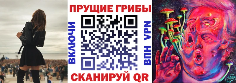 Псилоцибиновые грибы мицелий Новоаннинский